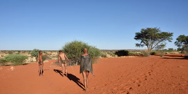 Buşmanlar avcılar, kalahari Çölü, Namibya — Stok fotoğraf