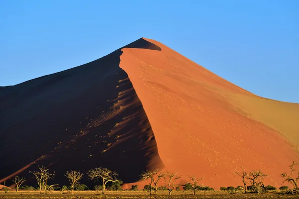 Sossusvlei, Namíb Naukluft nemzeti parkban, Namíbia — Stock Fotó