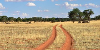 Kalahari Çölü, Namibya