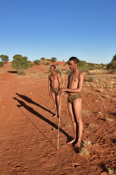 Avcılar Bushmen, Namibya — Stok fotoğraf
