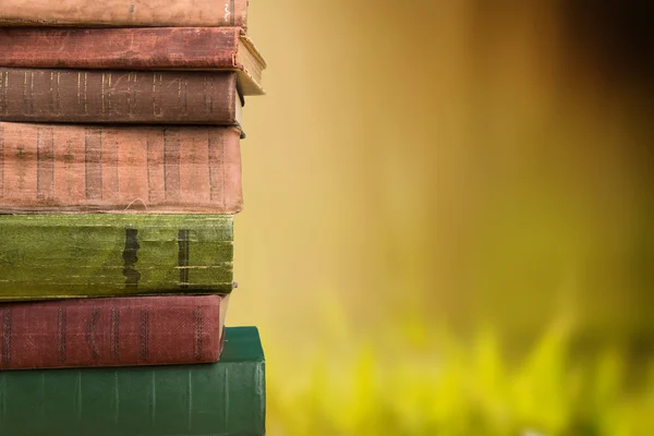 Stack of books over the natural background — Stock Photo, Image