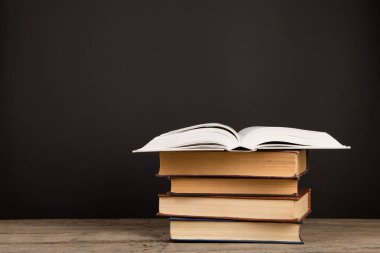 Masada okul kitapları, eğitim konsepti