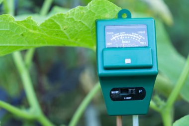 Ph metre, ıslak ve parlaklık sensörü - modern bahçe ve tarım konsepti