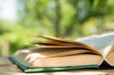 Bahçedeki ahşap bir masada açık bir kitap, güneşli bir yaz günü, bir tatil konseptinde okumak.