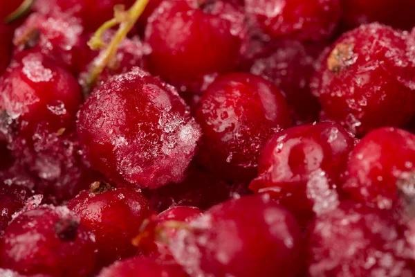 Frozen Berries Red Currant Macro Stock Image