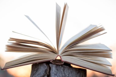 Eğitim ve bilgelik kavramı - açık havada gün ışığı altında kitap