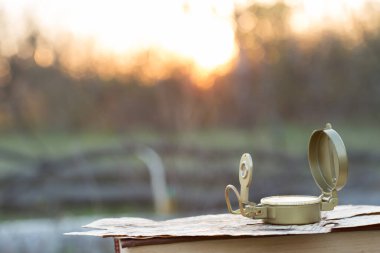 Açık havada bir ağaçta pusula. Makro fotoğraf.