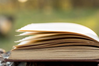 Eğitim ve bilgelik kavramı - açık havada gün ışığı altında kitap