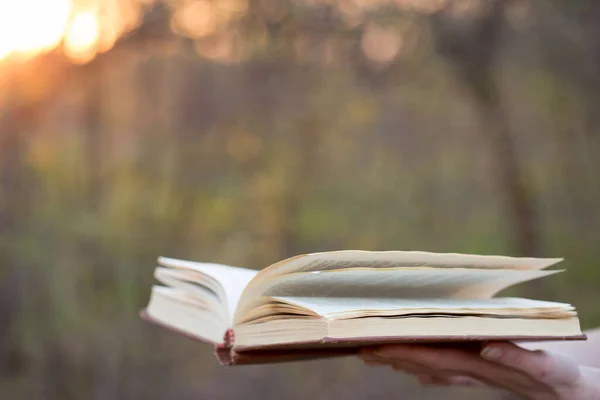 Education Wisdom Concept Open Book Sunlight Outdoors — Stock Photo, Image