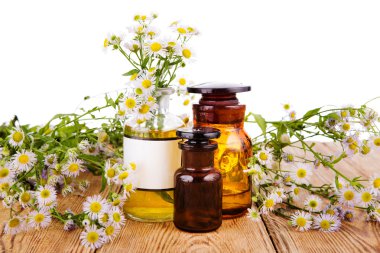 Bitkisel Tıp kavramı - papatya ve woode yağlıboya ile şişe
