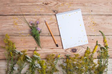 Not defteri ve tıp otlar üzerinde ahşap masa - alternatif medicin