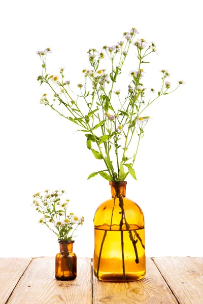 Concetto di medicina a base di erbe - bottiglia con camomilla sul tavolo di legno — Foto Stock