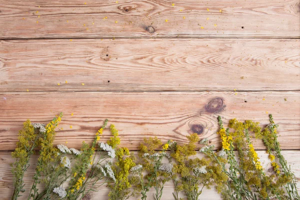 Concetto di medicina alternativa - erbe su sfondo di legno — Foto Stock