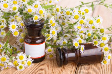 Alternatif Tıp kavramı - cam ile bir şişe kokulu yağ