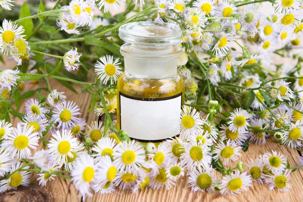 Massage oil in a glass bottle with camomile flowers on wooden ta
