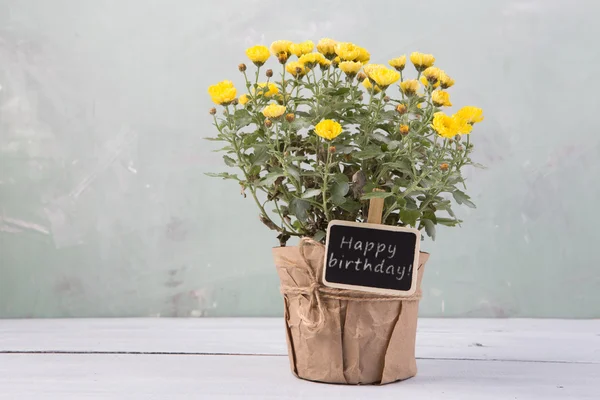 Mutlu yıllar - boş ileti ca ile tencerede güzel çiçekler — Stok fotoğraf
