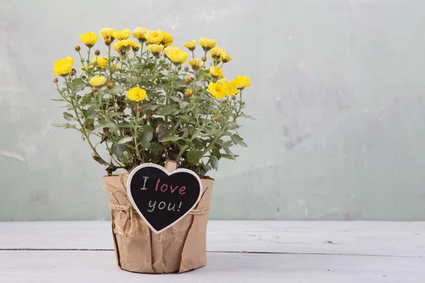 Ti amo - bellissimi fiori in vaso con biglietto da visita — Foto Stock