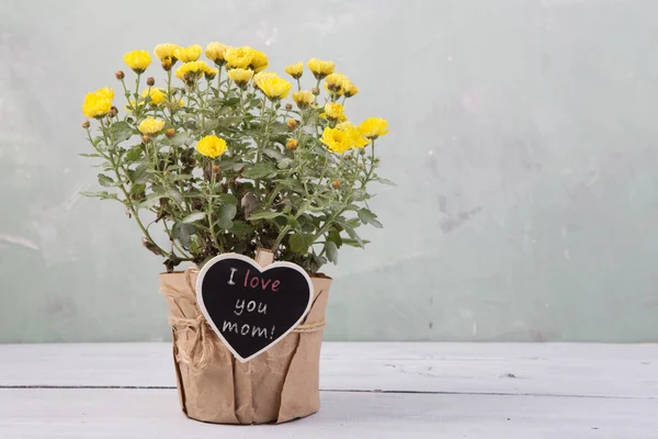 Seni seviyorum anne! -Mesaj kart ile tencerede güzel çiçekler — Stok fotoğraf