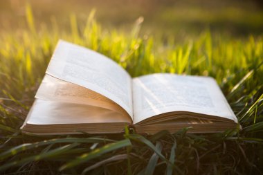 Çimenler üzerine açık kitap