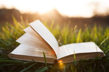 Çimenler üzerine açık kitap