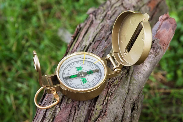 Kompas na stromě venkovní — Stock fotografie