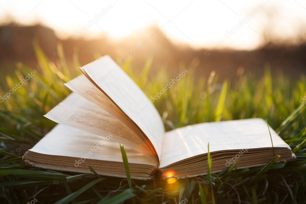 Open book on grass