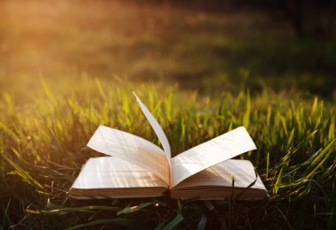 Güneşin altında çimlerin üzerine açık kitap