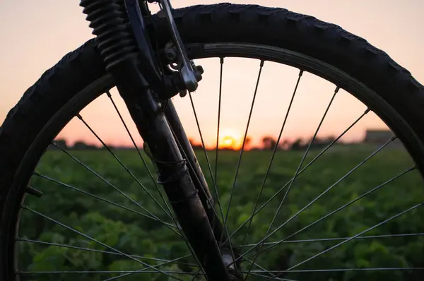 Rueda de bicicleta en el fondo del atardecer en el prado — Foto de Stock