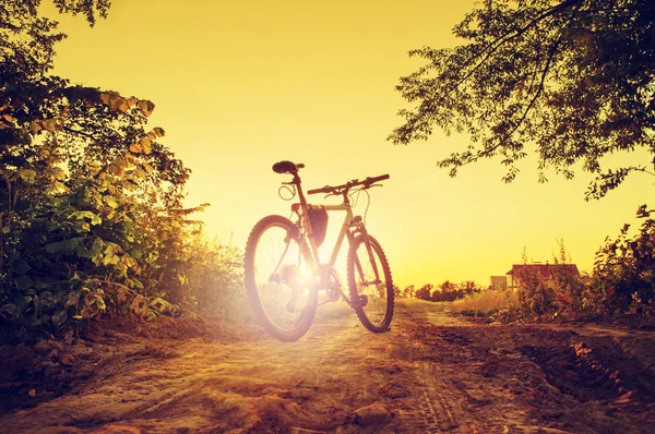 Bicicleta de montaña en el camino del campo en la puesta del sol, color vintage t — Foto de Stock