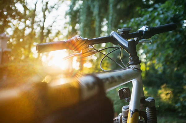 Bicicleta de montaña en el bosque al atardecer — Foto de Stock