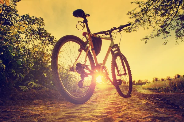 Bicicleta de montaña en el camino del campo en la puesta del sol, color vintage t — Foto de Stock
