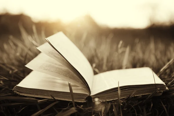 Öppen bok på gräs i sepia toner — Stockfoto