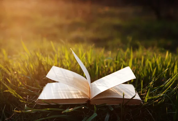 Livro aberto na grama sob o sol — Fotografia de Stock