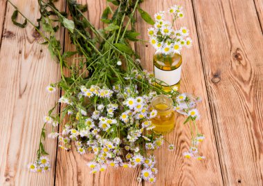 Masaj yağı papatya çiçekler üzerinde ahşap cam şişede ta