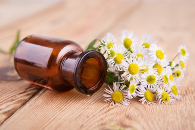 Papatya çiçek ahşap t bir cam şişe kokulu yağ