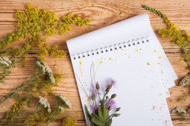 Not defteri ve tıp otlar üzerinde ahşap masa - alternatif medicin