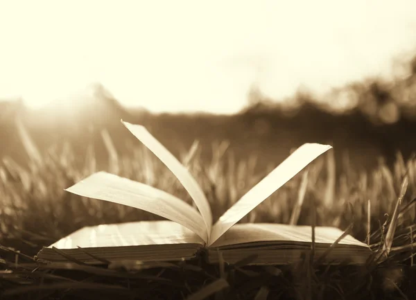 阳光下的草地上本打开的书 — 图库照片