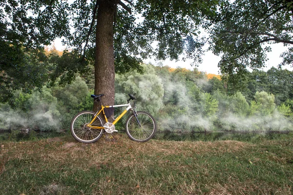 Bicicleta de montaña en la orilla del río en la niebla — Foto de Stock