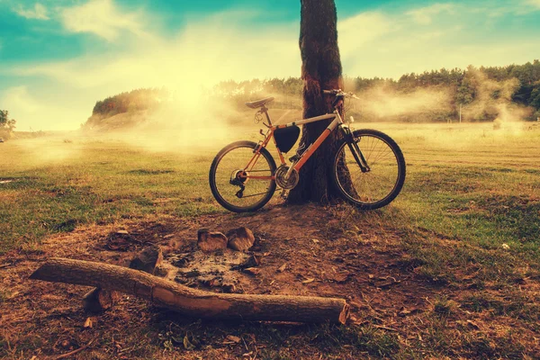 Camping - bicicleta de montaña de pie cerca del árbol en la salida del sol brumoso — Foto de Stock