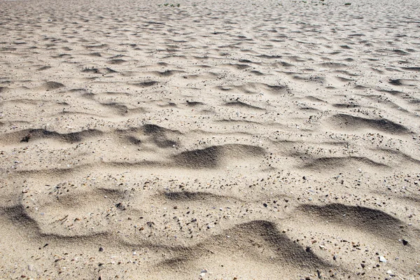 Deniz arka plan - kum, çakıl ve kabukları — Stok fotoğraf