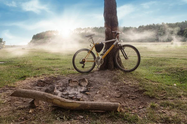 Camping - bicicleta de montaña de pie cerca del árbol en la salida del sol brumoso — Foto de Stock