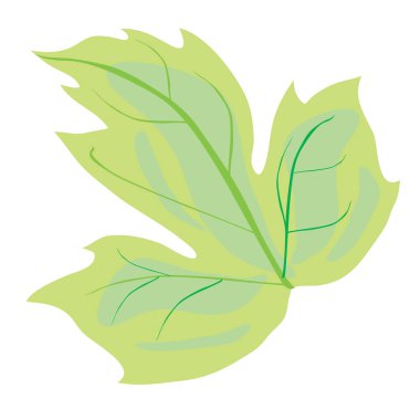 Dekoratif yaprak yeşil, izole nesne beyaz arkaplan, vektör illüstrasyon, eps