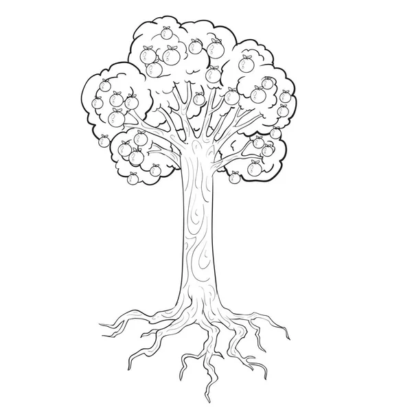 Boceto Árbol Con Manzanas Raíces Colorear Objeto Aislado Sobre Fondo — Vector de stock