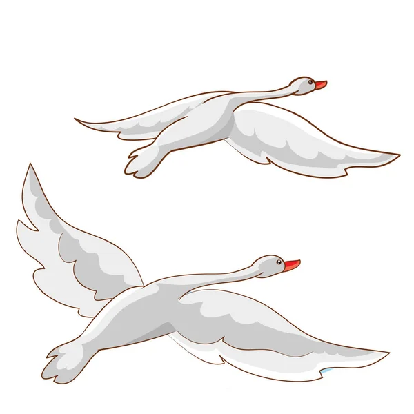 Deux Cygnes Blancs Envolent Loin Illustration Dessin Animé Objet Isolé — Image vectorielle