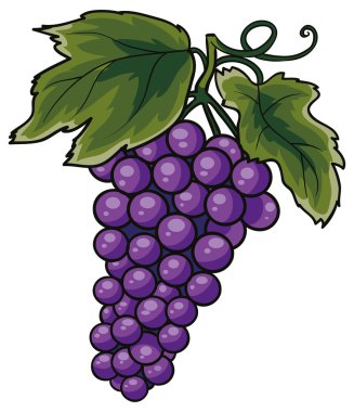 Bir demet üzüm.