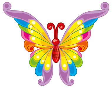 güzel renkli kelebek