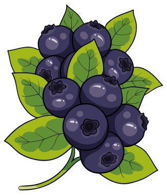 yaban mersini yaprağı ile