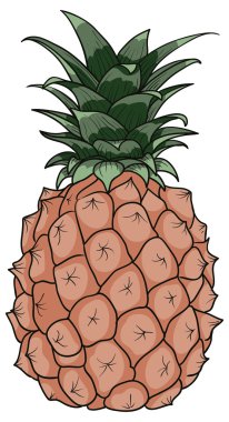 Renk ananas