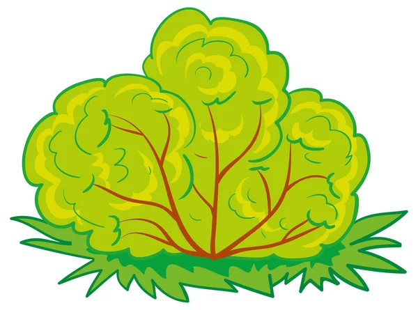 Arbusto verde — Vetor de Stock