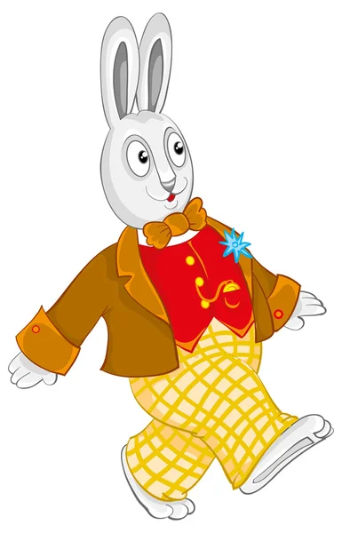 Rabbit in clothes — Stock Vector
